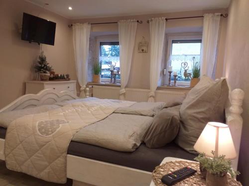 Schlafzimmer mit einem Bett, einem TV und Fenstern in der Unterkunft EifelverWeiler in Weiler