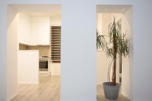 a kitchen with white cabinets and a potted plant at Miaap Apartments in Sarajevo