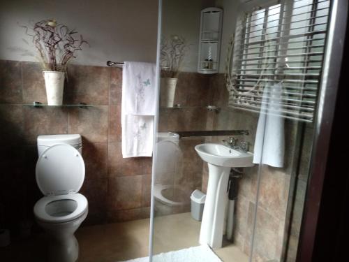 La salle de bains est pourvue de toilettes et d'un lavabo. dans l'établissement Marloth Wild Fig Studio, à Marloth Park