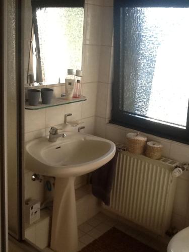uma casa de banho com um lavatório e uma janela em Appartement in der Waldsiedlung em Leverkusen