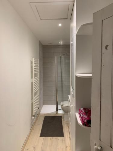 a white bathroom with a toilet and a shower at Le studio du botaniste in Giverny