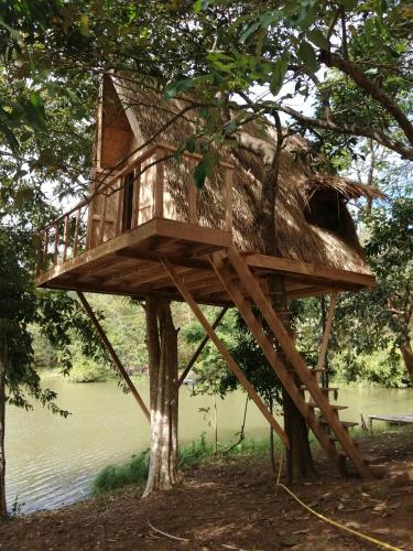 a tree house in a tree next to a body of water at FANDEE ISLAND Treehouses & Ziplines - Tad Lo, Bolaven Loop Pakse in Ban Kiangtat