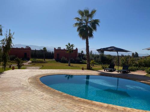 a swimming pool in a yard with a palm tree at Villa Diaf Johanne in Aït Ourir
