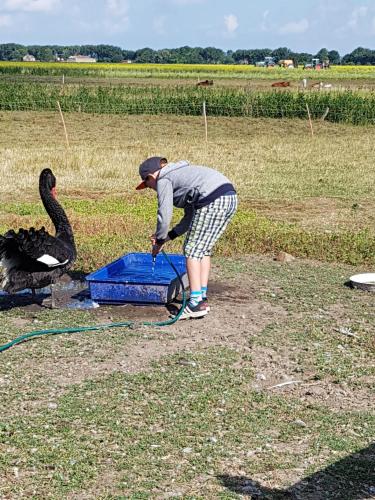 Tetamu yang menginap di Bauernhof Südfrersbüll