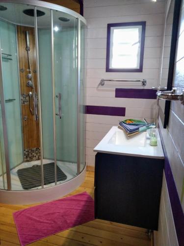 a bathroom with a shower and a sink at Villa & Bungalow Fleur de Coco in Sainte-Anne