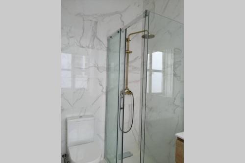 y baño con ducha y puerta de cristal. en Ficus Áurea, en Aveiro