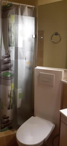 une salle de bain avec une douche avec des toilettes et un lavabo dans l'établissement Great Waterfront Apartment In Cannes BoccaCabana, à Cannes