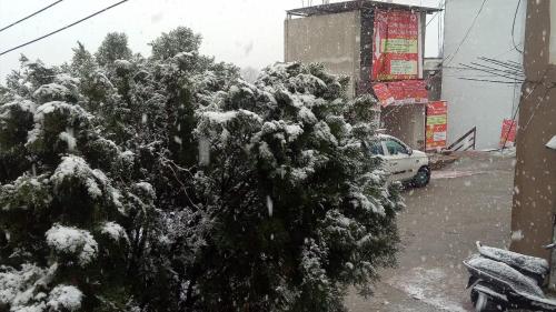 a snow covered christmas tree in a parking lot at Hotel Milam Inn in Almora