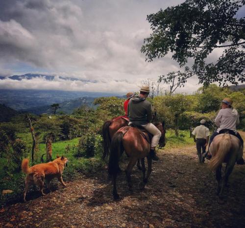 two people riding horses on a trail with a dog at Finca Queveri in Orosí