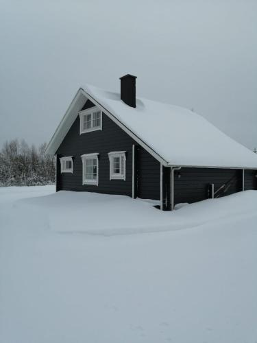 a house covered in snow in front at Villa Kunkku in Kuivakangas