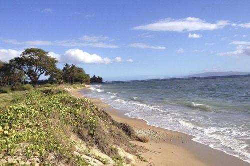 a sandy beach with the ocean and trees on it at Oceanfront penthouse with amazing views at Kauhale Makai in Kihei