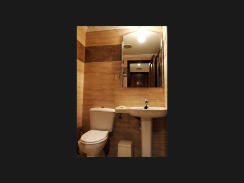 ポラ・デ・レナにあるHotel Lenaのバスルーム(トイレ、洗面台、鏡付)