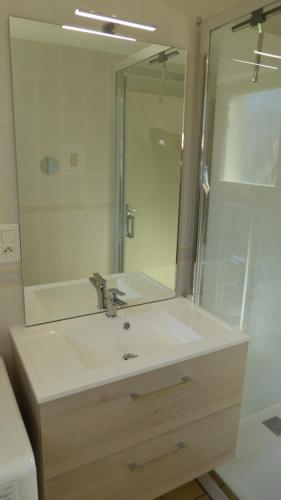 a bathroom with a sink and a mirror at Entre Pyrenees Et Atlantique in Oloron-Sainte-Marie