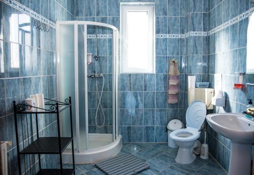 モイエチウ・デ・ジョスにあるPensiunea In deal La Lupiの青いタイル張りのバスルーム(トイレ、シンク付)