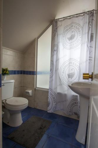 Un baño con inodoro y cortina de ducha. en Hospedaje El Roble, Puerto Varas, en Puerto Varas