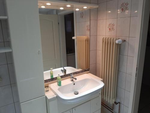a bathroom with a sink and a mirror at Ferienwohnung Familie Seel in Weimar