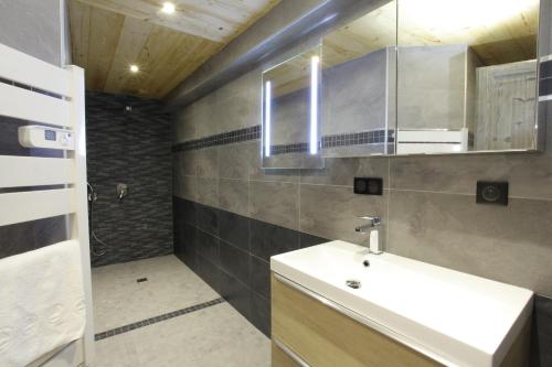 un baño con lavabo y ducha en Bottières, en Saint-Pancrace