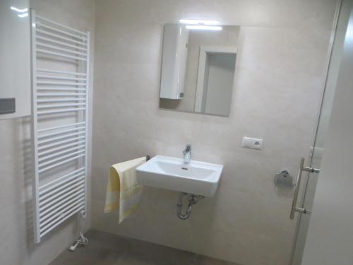een badkamer met een wastafel, een spiegel en een douche bij Premium City Apartment Amadeus in Salzburg
