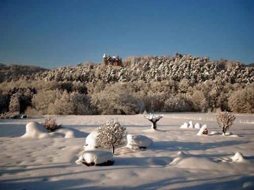 a snow covered field with trees and a castle in the background at B&B Le Clos du Lac in Sart-lez-Spa