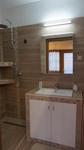 uma casa de banho com um lavatório, um chuveiro e um espelho. em Chloe Apartman em Szigetvár