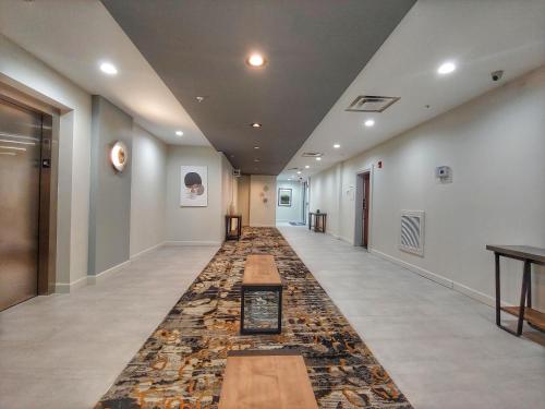 an art gallery hallway with a rug on the floor at Radisson Hotel Atlanta Airport in Atlanta