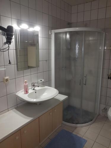 a bathroom with a shower and a sink and a sink at Pension Zum weißen Hirsch in Reitwein