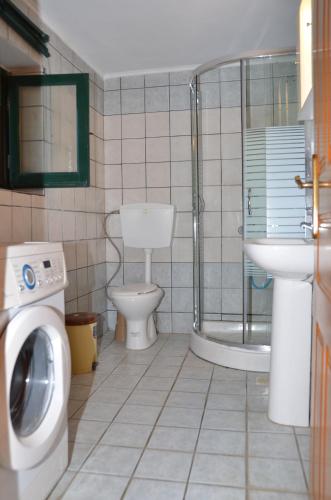 a bathroom with a toilet and a shower and a sink at Terra Lemnia B in Repanídhion