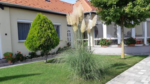 Κήπος έξω από το Elisabeth apartman