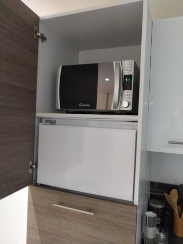 eine Mikrowelle auf einem Kühlschrank in der Unterkunft Studio in Baccarat