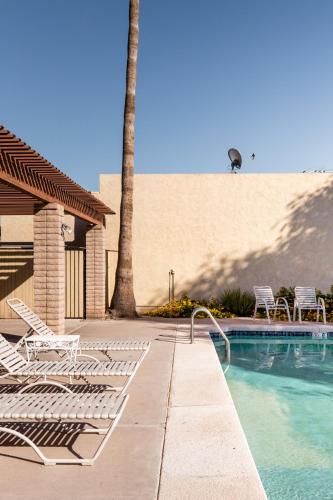a swimming pool with lounge chairs and a palm tree at Central Phoenix Townhome in Phoenix