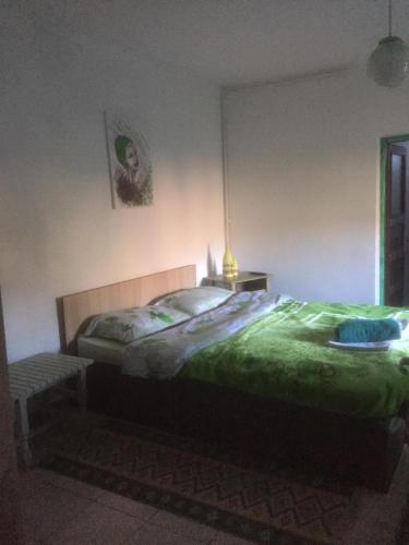 a bedroom with a bed with a green comforter at Vila Licurici in Caciulata