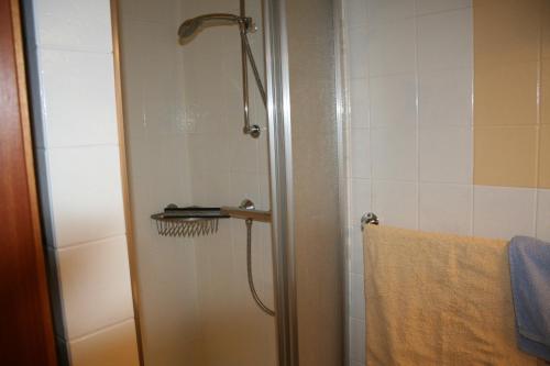 a shower with a glass door and a towel at Felsenland Apartment in Ludwigswinkel