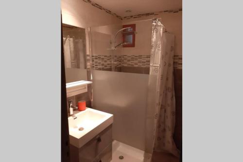 La salle de bains est pourvue d'un lavabo et d'une douche avec rideau de douche. dans l'établissement Foix, à Foix