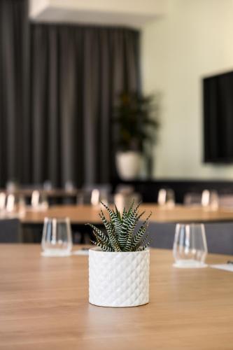 a potted plant sitting on top of a table at Novotel Melbourne Central in Melbourne