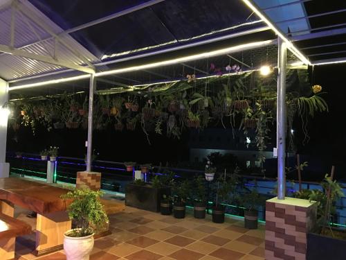 Φωτογραφία από το άλμπουμ του Con Son Green Island σε Con Dao