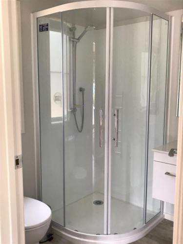 a glass shower in a bathroom with a toilet at Arches Cottage in Twizel
