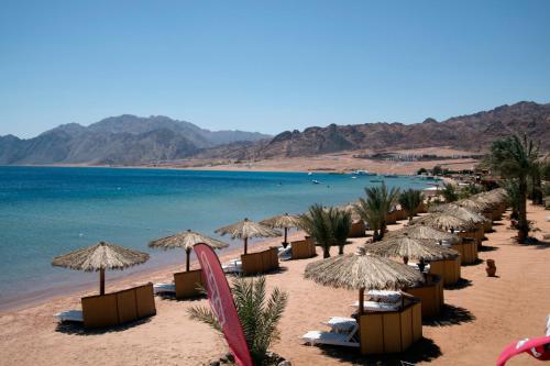 a beach area with chairs, tables and umbrellas at Swiss Inn Resort Dahab in Dahab
