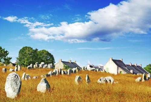 a group of animals grazing in a field with houses at SMILE APPARTS - Appartements - Au coeur de Lorient - Au calme - Tout Confort in Lorient
