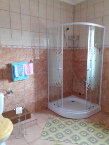 W łazience znajduje się prysznic ze szklanymi drzwiami. w obiekcie La Botezatu w mieście Tuzla