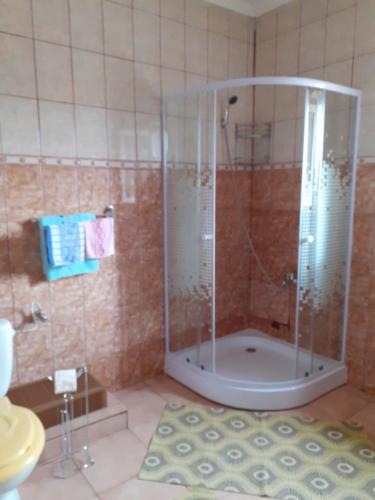 a shower with a glass door in a bathroom at La Botezatu in Tuzla