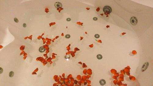 a white plate with carrots and coins on it at لؤلؤة الشرق للشقق المخدومة Luluat Al sharq For Serviced Apartment in Hafr Al Baten