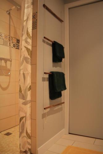 La salle de bains est pourvue d'une porte de douche et de serviettes vertes. dans l'établissement La maison à Jean, à Val Couesnon