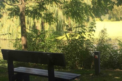 a park bench next to a tree and a body of water at Residentie Pelikaan - nice view on the Leie in Deinze
