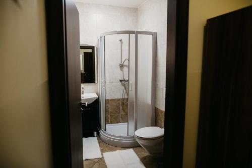 a bathroom with a shower and a toilet and a sink at Apartments-rooms Vogrinec in Ptuj