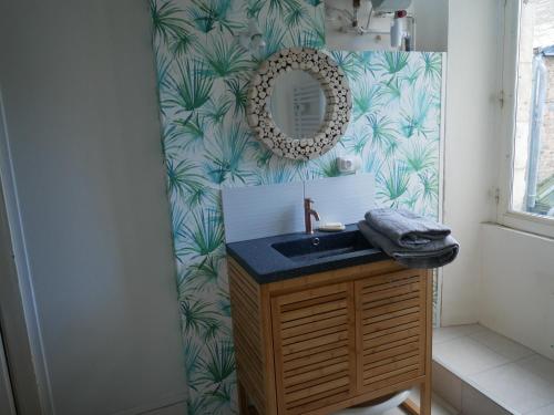 a bathroom with a sink and a mirror at Studio centre ville la Flèche proche zoo in La Flèche