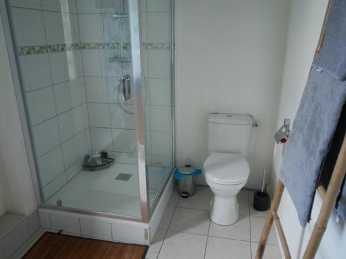 a bathroom with a shower and a toilet at Studio centre ville la Flèche proche zoo in La Flèche