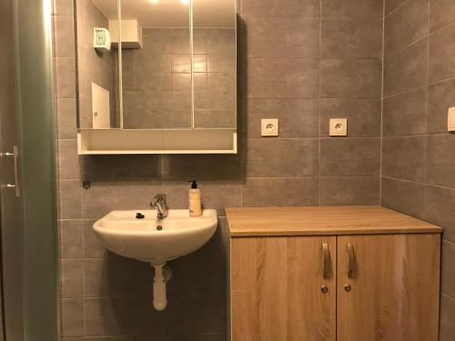 Ванна кімната в Apartmán Horní Lipová