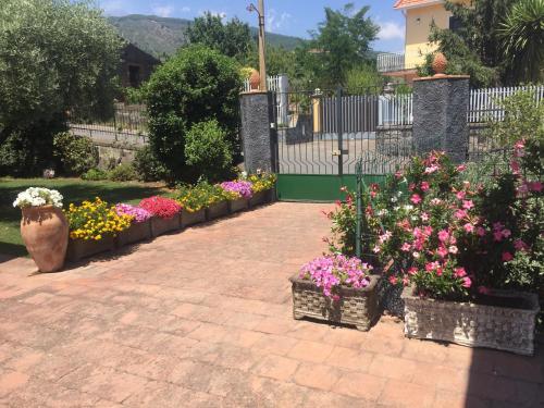 Fotografie z fotogalerie ubytování Scatitti House v destinaci Zafferana Etnea