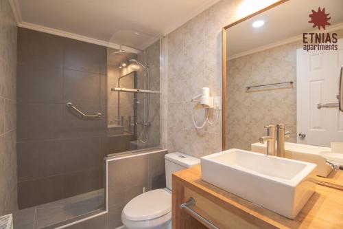 y baño con lavabo, ducha y aseo. en Etnias Apartments, en Puerto Natales