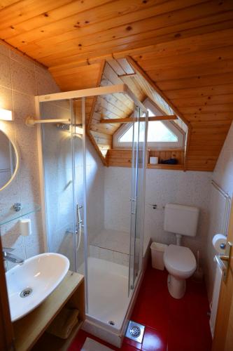 a bathroom with a shower and a toilet and a sink at Apartmaji Zupančič in Bohinj